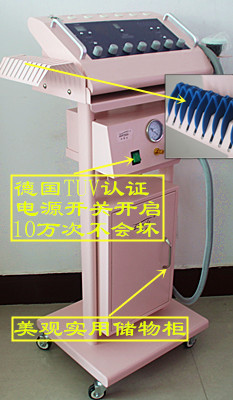 美体养生仪,美容仪器,理疗仪器