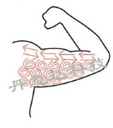 纤体总管:爆脂仪:美体仪器:减肥仪器:减肥设备