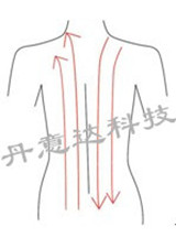 纤体总管:爆脂仪:美体仪器:减肥仪器:减肥设备