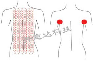 纤体总管:爆脂仪:美体仪器:减肥仪器:减肥设备