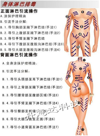 减肥仪器:减肥设备:美体设备